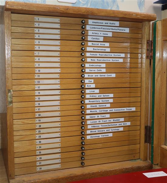 A wooden slide cabinet with selection of slides